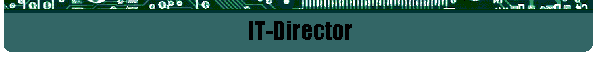 IT-Director