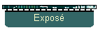 Exposé